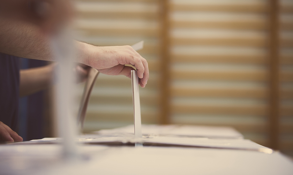 referandum seçimler