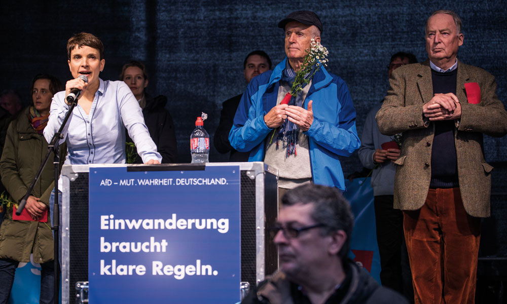AfD'nin tarihi