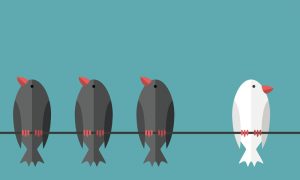 Ayrımcılık Nedir?