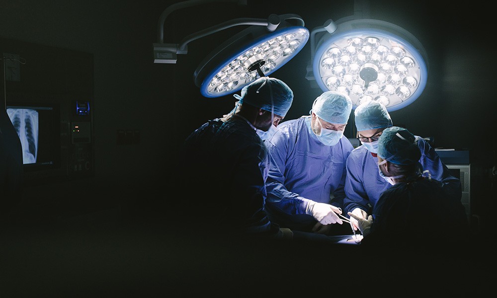 Hollanda’da Yeni Organ Bağışı Kanunu İçin 1 Eylül’de Mektuplar Gönderilecek