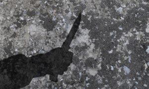 Almanya’da Siyahi Öğrenciye Irkçı Cinayet Teşebbüsü