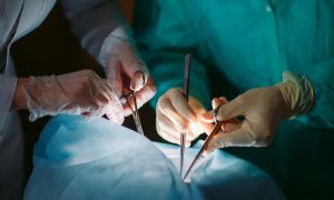Hollanda’da Yeni Organ Bağışı Kanunu: Organ Donörü Tercihinizi Yapın