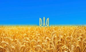 Ukrayna’daki Savaş ve Küresel Gıda Krizi