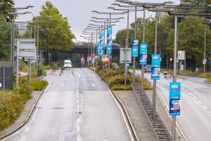 AfD’nin Yükselen Oyları