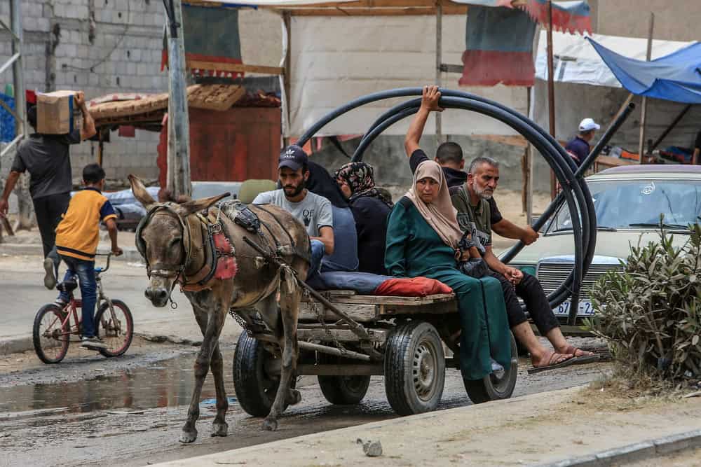 eşek gazze hasta çocuklar almanya eşekler