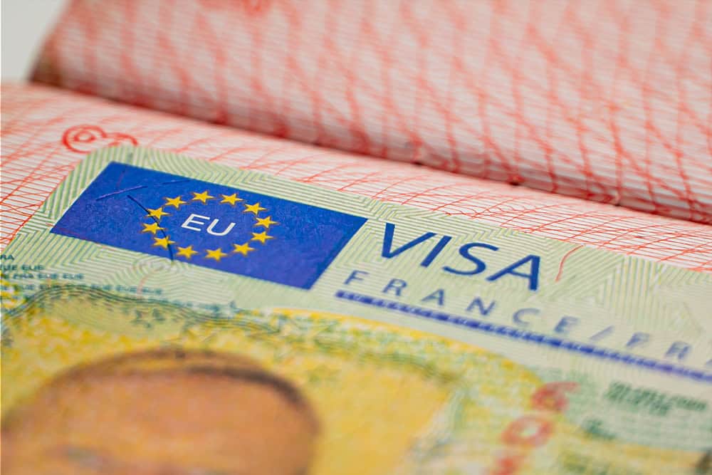 VFS Global Dosyası: Schengen Vizesi Nasıl Büyük Bir Sektöre Dönüştü?