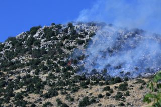 İsrail’in İnsandışılaştırma Politikası: Lübnan’da Küller, Negev’de Timsahlar