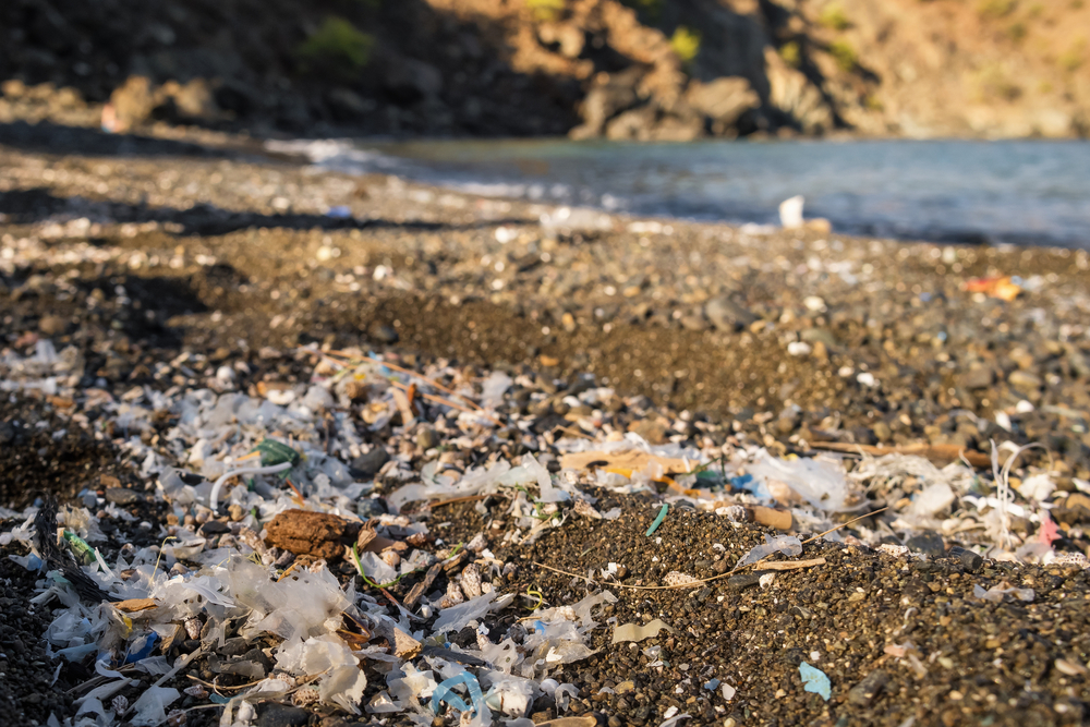 Türkiye Avrupa Avrupa Birliği mikroplastik Akdeniz çevre kirliliği Adana Antalya Alanya çöp ticareti